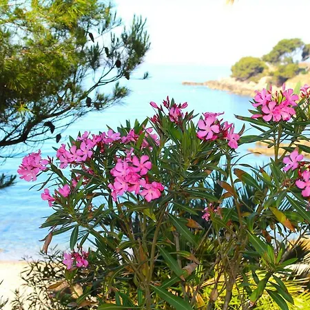 Appartamento - Casa Nina Bandol